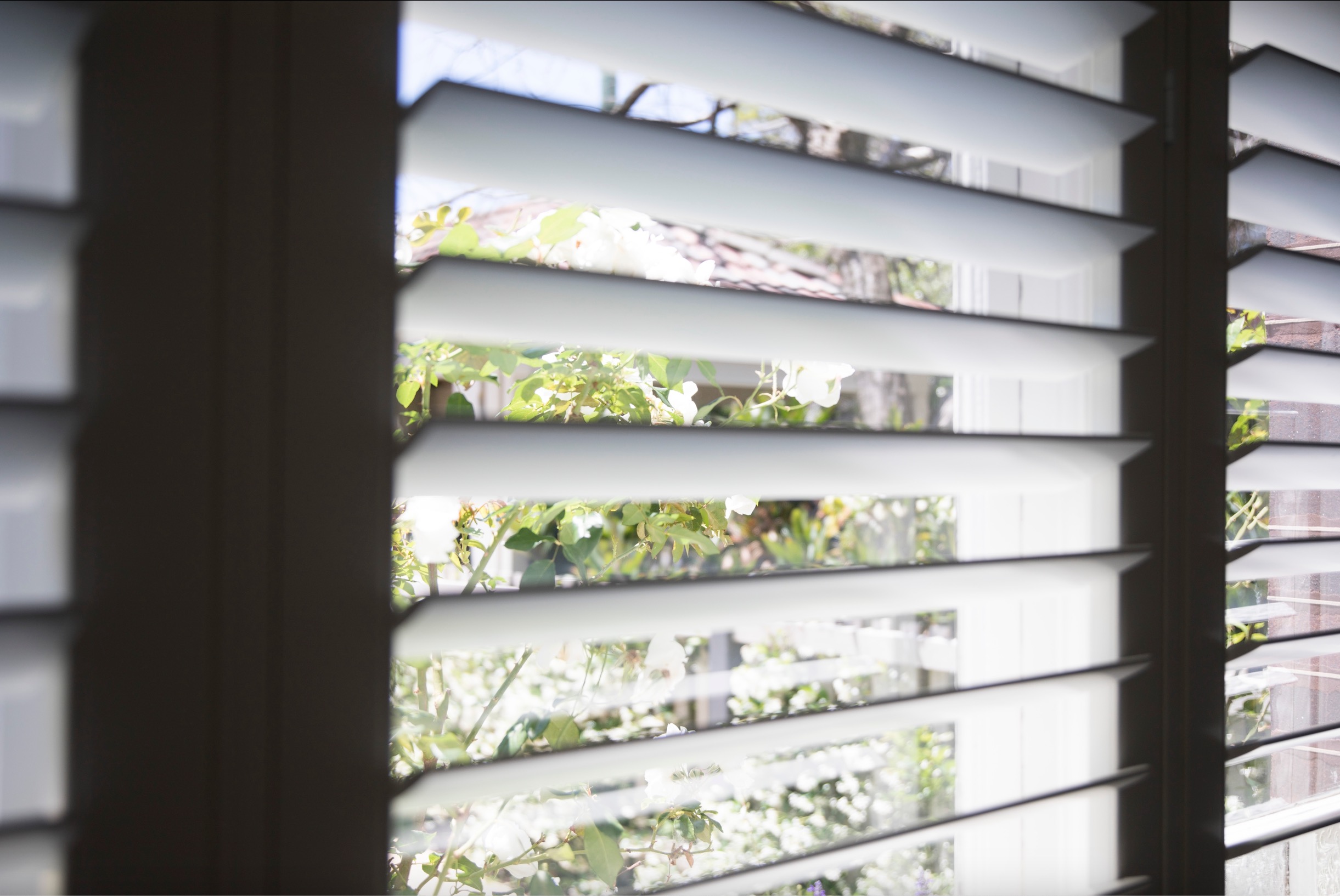 plantation shutters up close